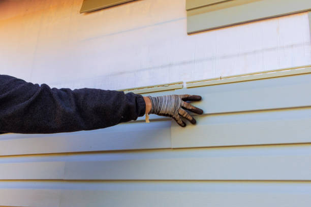 Custom Trim and Detailing for Siding in Mason City, IA